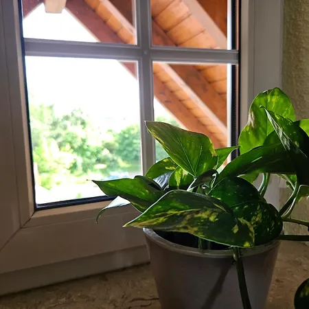 Service Appartement Weigl Nittenau Buitenkant foto
